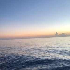 Meet your Posher, Adriana